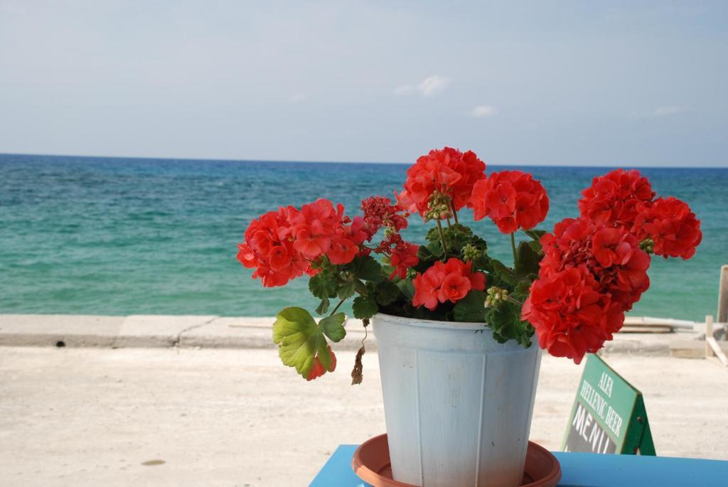 Socrates Apartmens & Restaurant Mílatos Ngoại thất bức ảnh